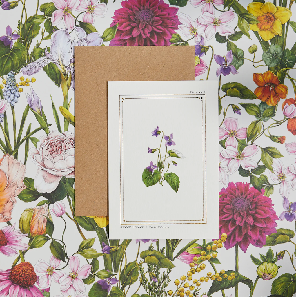 Catherine Lewis Card Sweet Violet