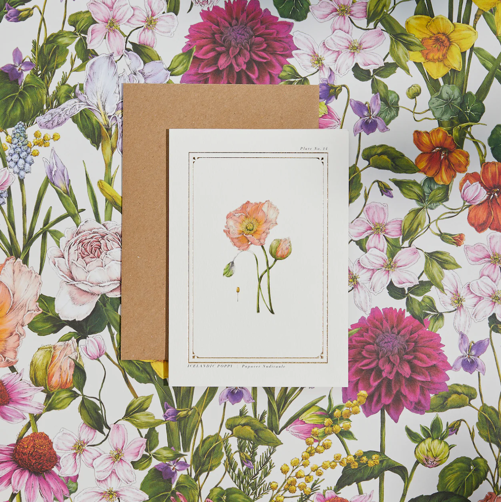 The Botanist Greeting Card | Icelandic Poppy
