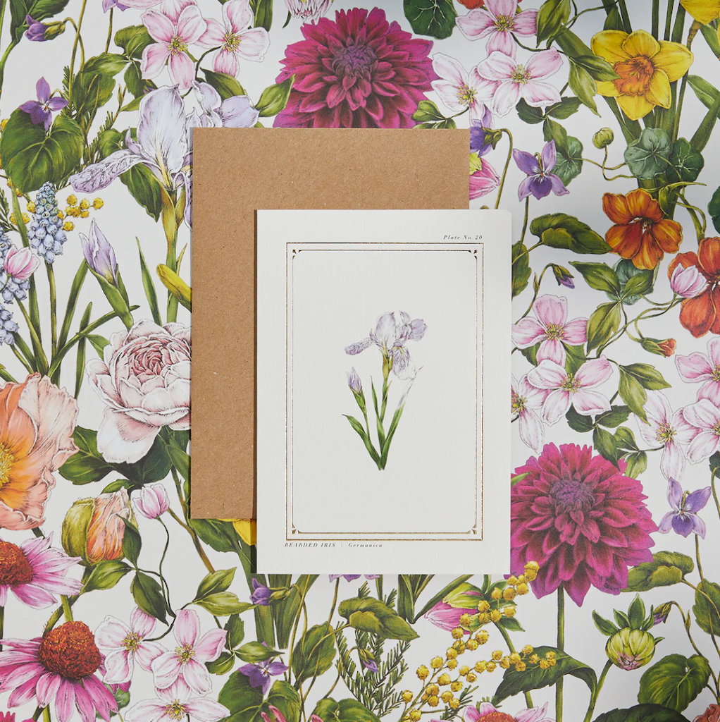 The Botanist Greeting Card | Bearded Iris