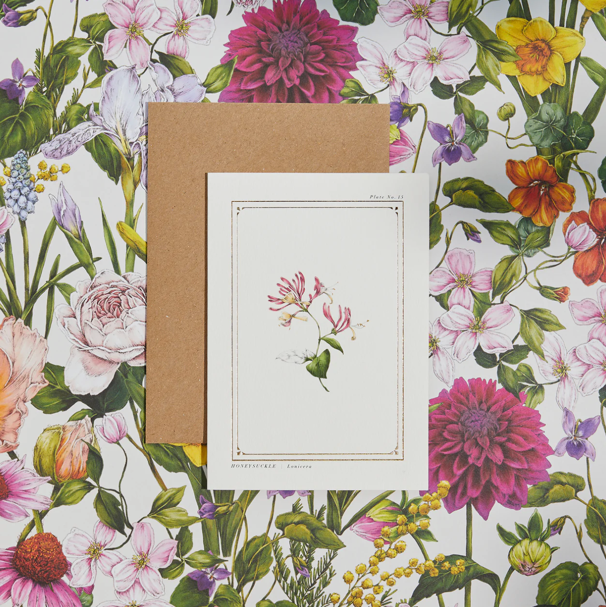 The Botanist Greeting Card | Honeysuckle