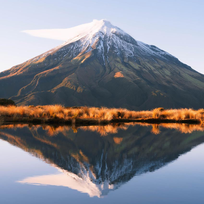 Scented Tin Candle | The Pure