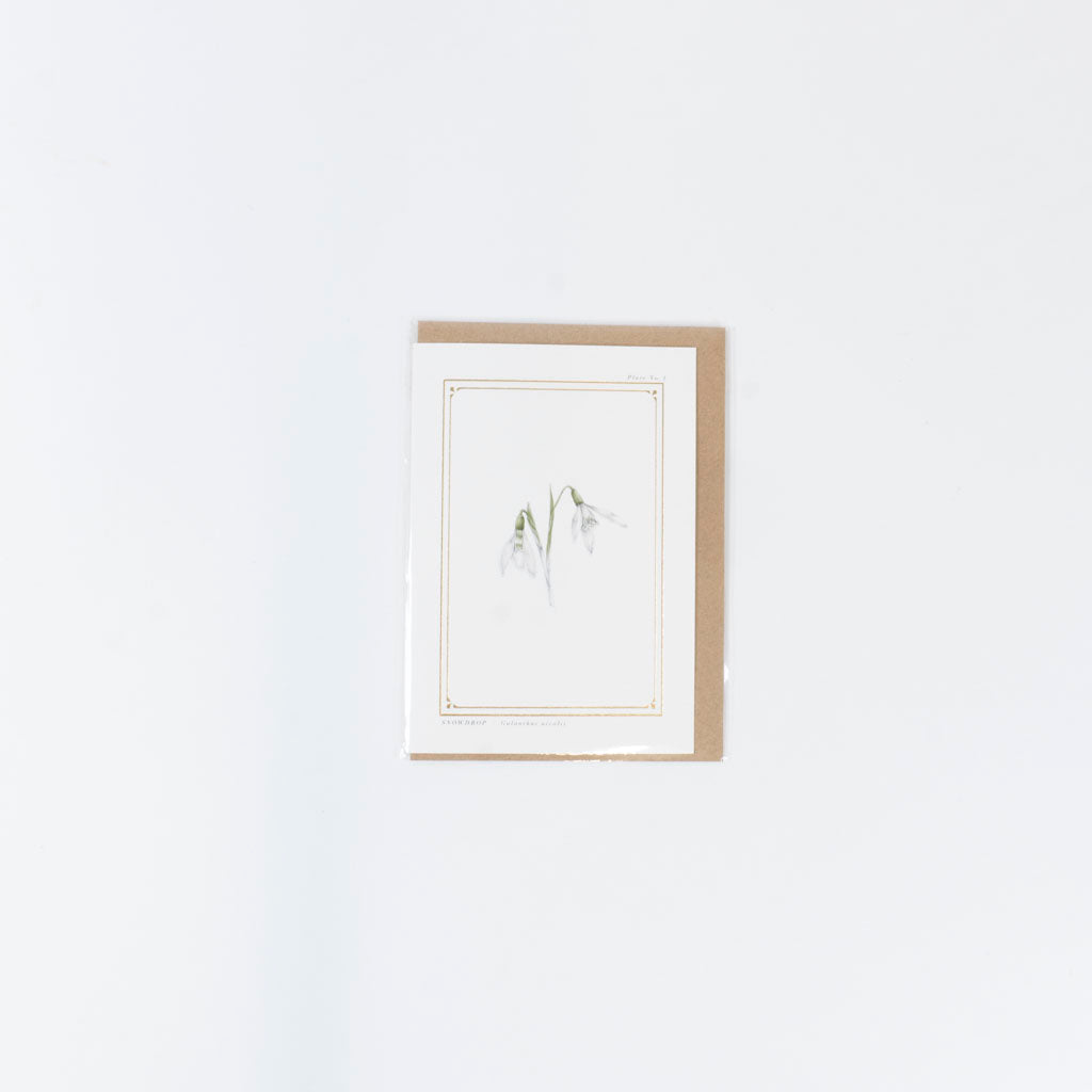 The Botanist Greeting Card | Snowdrop