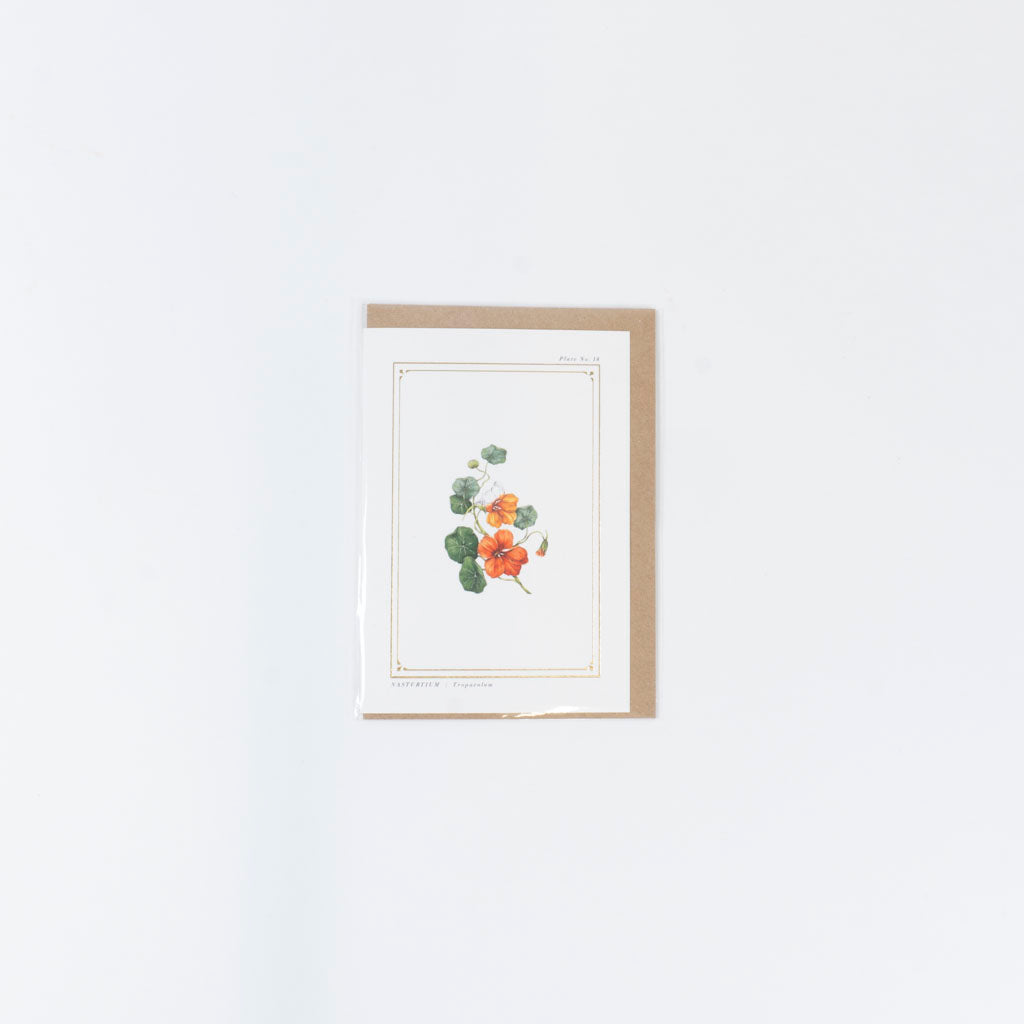 The Botanist Greeting Card | Nasturtium