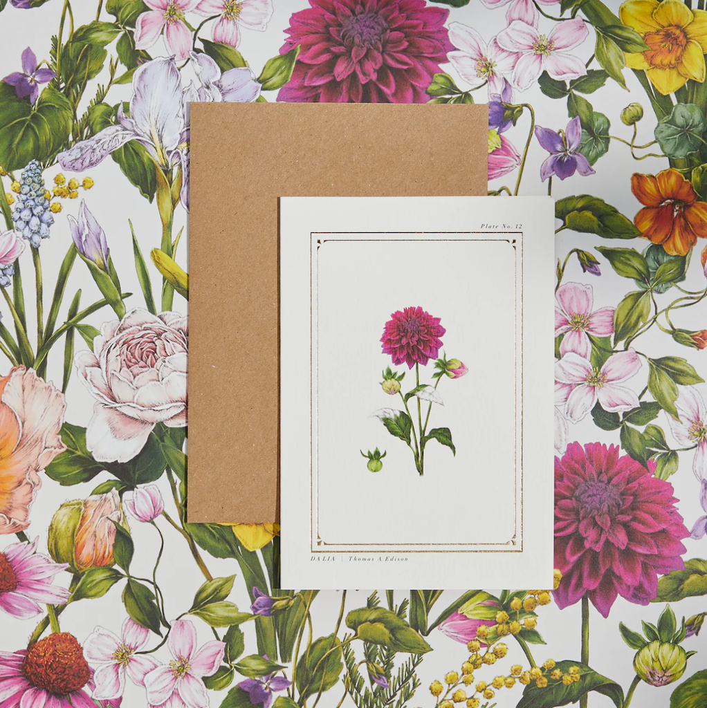 The Botanist Greeting Card | Dalia