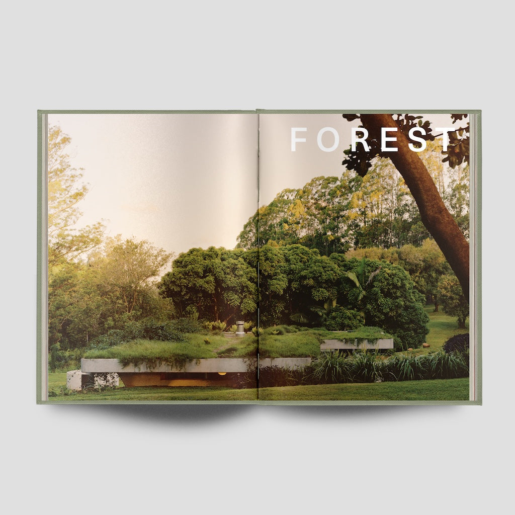 Habitats: City, Coast and Forest
