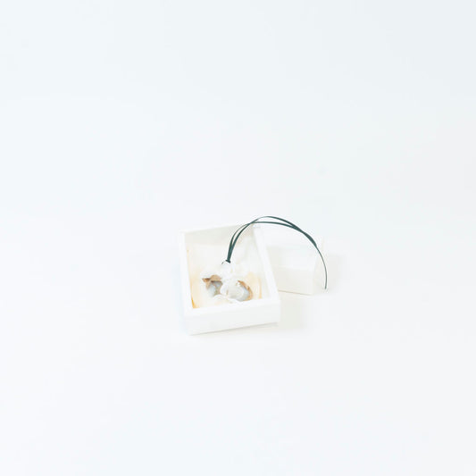 Botanical Palet | Dreamed a Dream
