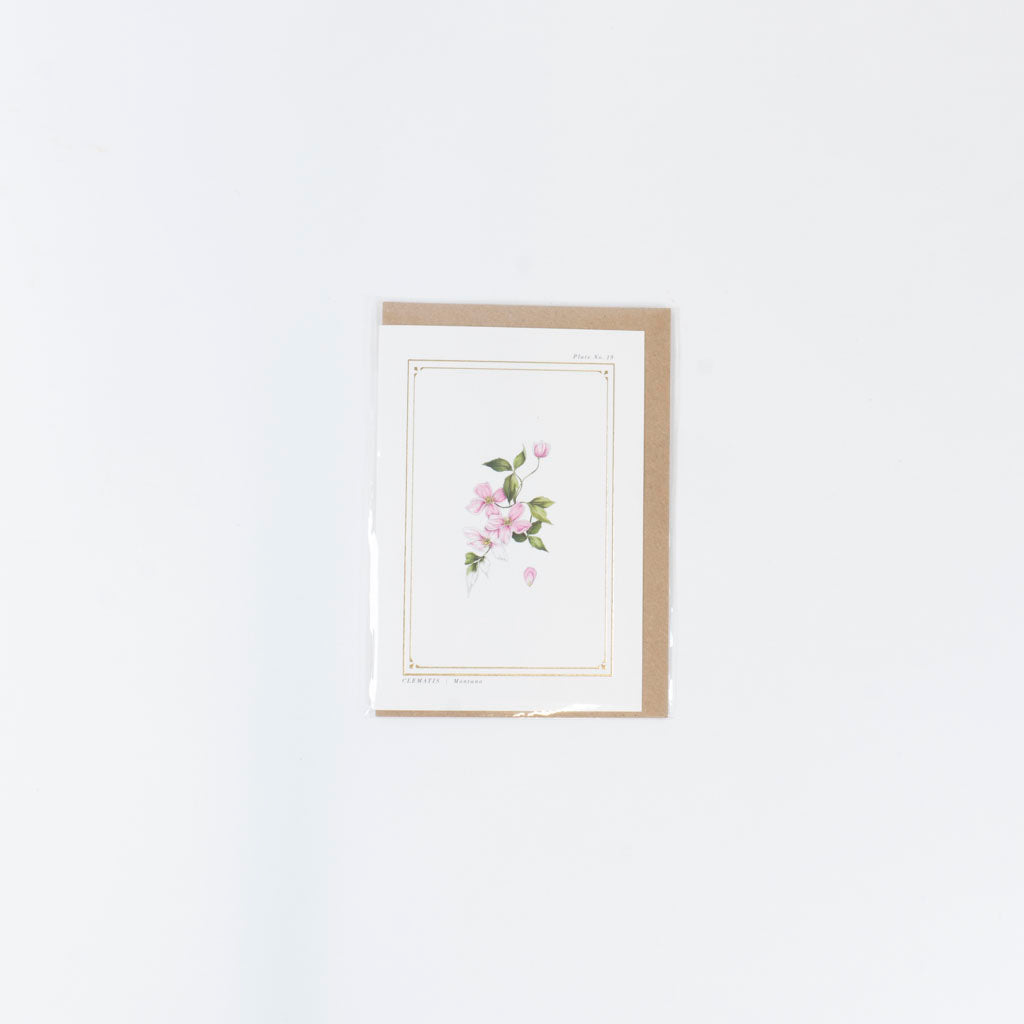 The Botanist Greeting Card | Clematis