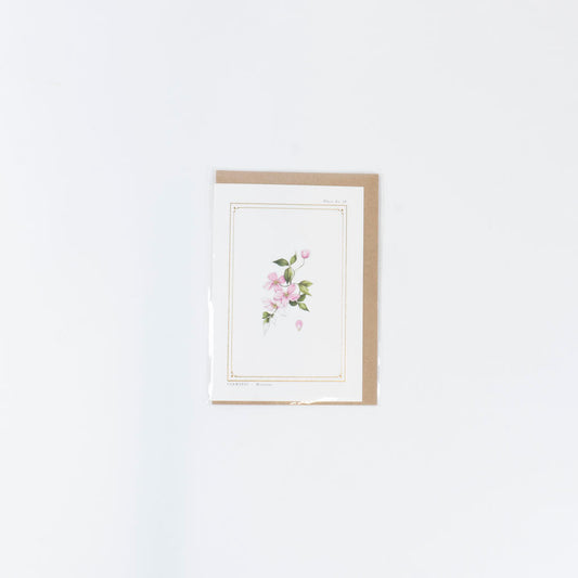 The Botanist Greeting Card | Clematis