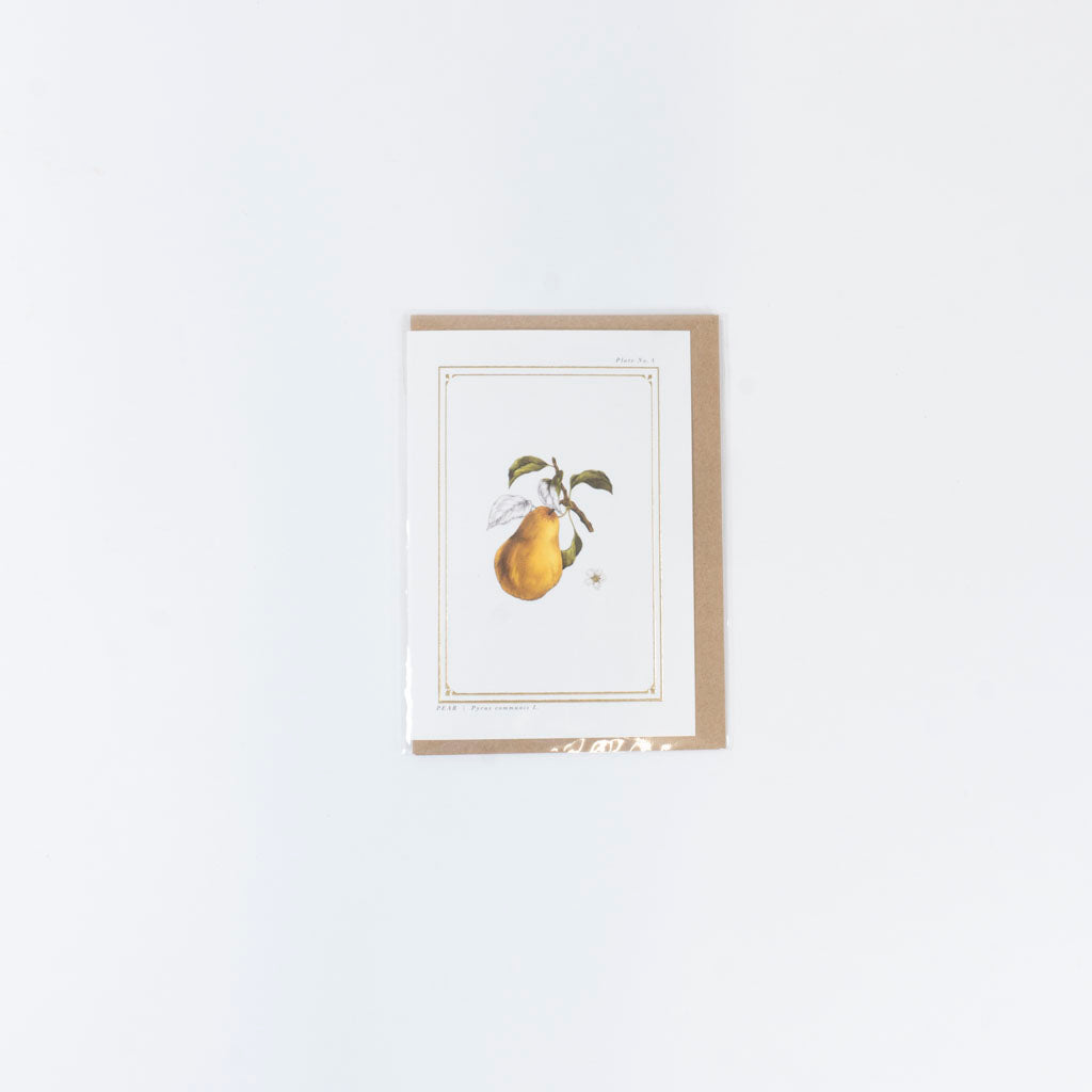 The Botanist Greeting Card | Pear