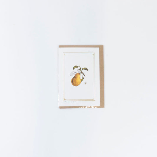 The Botanist Greeting Card | Pear
