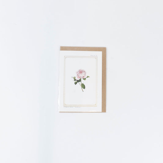 The Botanist Greeting Card | The Rose