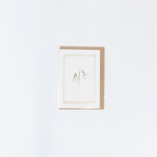 The Botanist Greeting Card | Snowdrop
